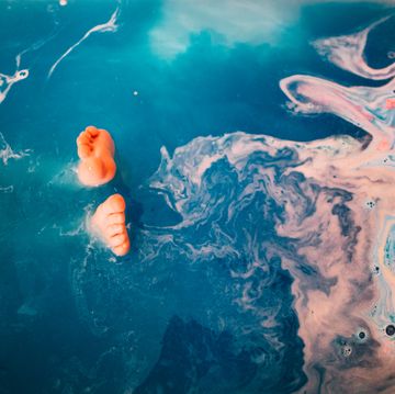 Body of water, Fluid, Liquid, Organism, Underwater, Colorfulness, Fish, Marine biology, Geological phenomenon, Koi, body of water, fluid, liquid, organism, underwater, colorfulness, fish, marine biology, geological phenomenon, koi,